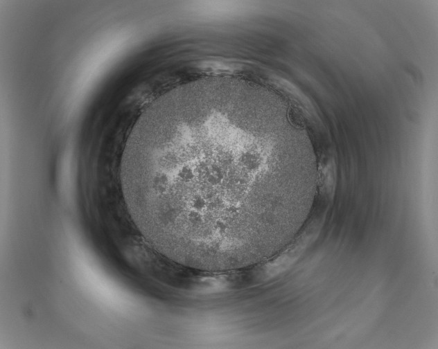 X0000111130381200906301215