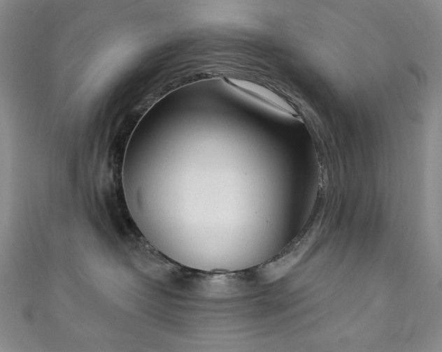 X0000111130382200906301215