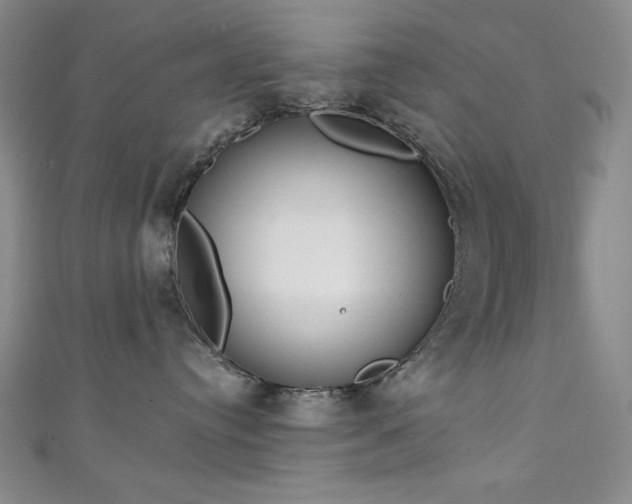 X0000111130384200906301215