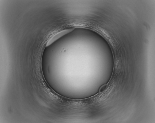 X0000111130385200906301214