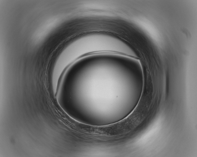 X0000111130387200906301214