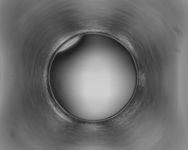 X0000111130389200906301214
