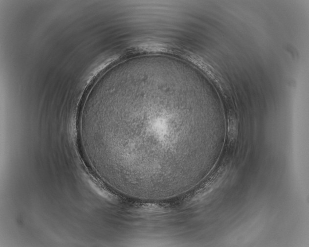 X0000111130390200906301214