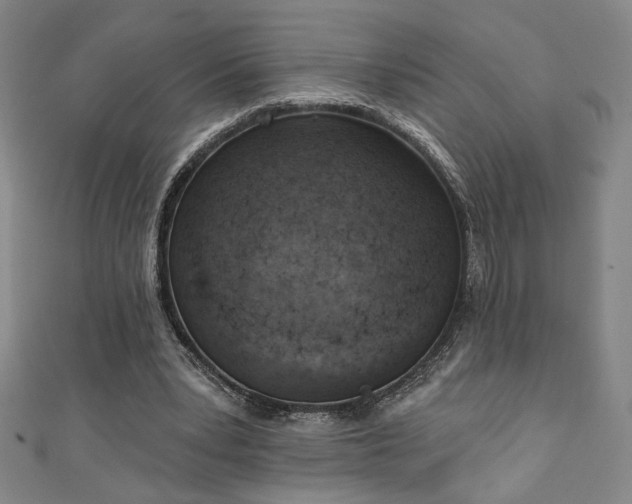 X0000111130391200906301214