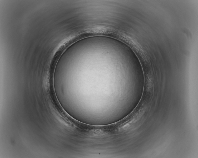 X0000111130392200906301214