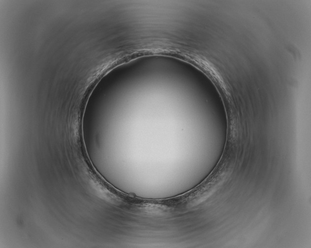X0000111130393200906301214