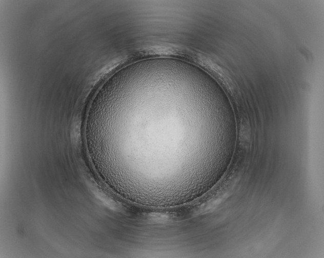 X0000111130394200906301214
