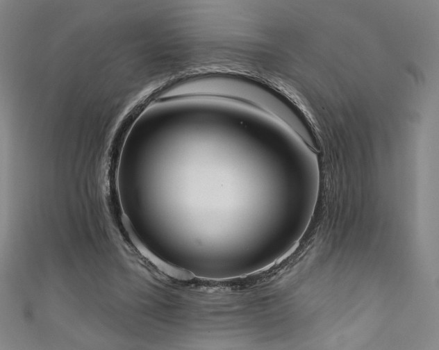 X0000111130395200906301214