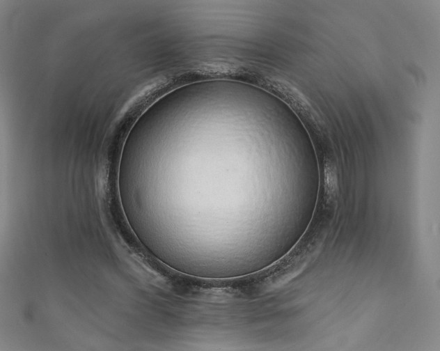 X0000111130396200906301214