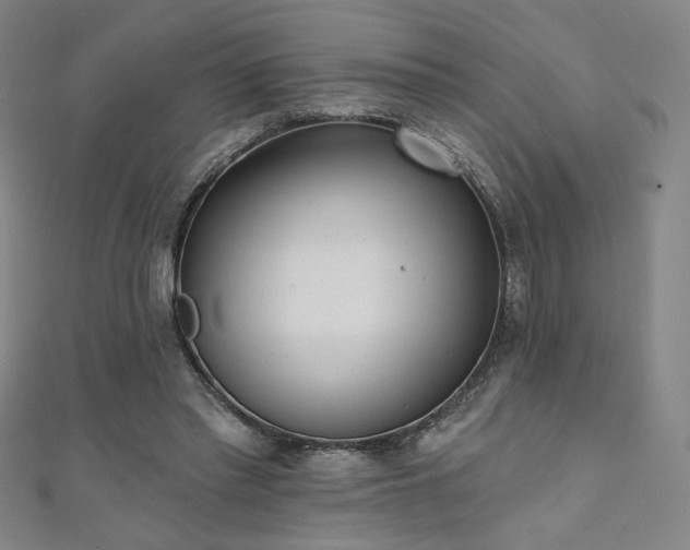 X0000111130397200906301214
