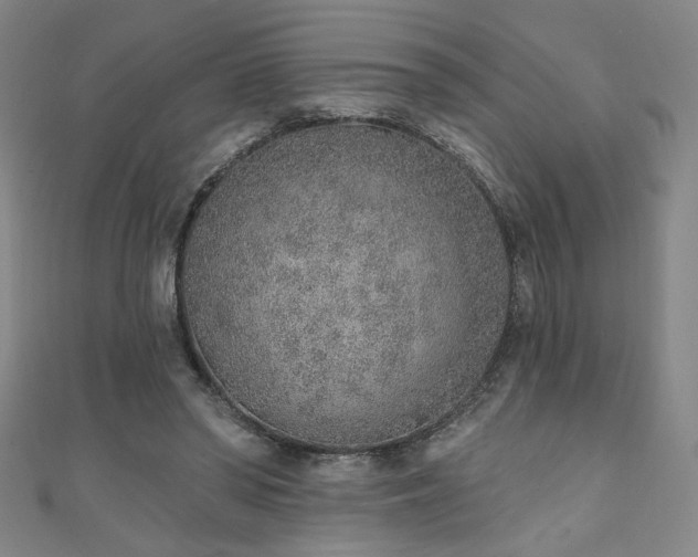 X0000111130398200906301214