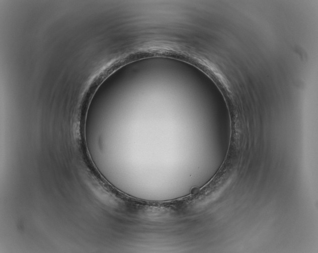 X0000111130399200906301214