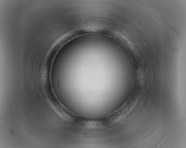 X0000111130400200906301214