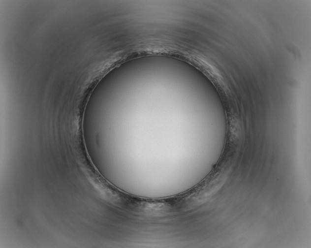 X0000111130401200906301214