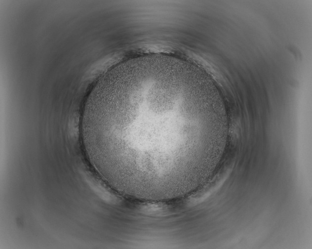 X0000111130402200906301214