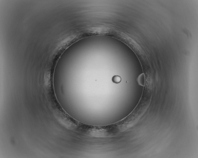 X0000111130403200906301214