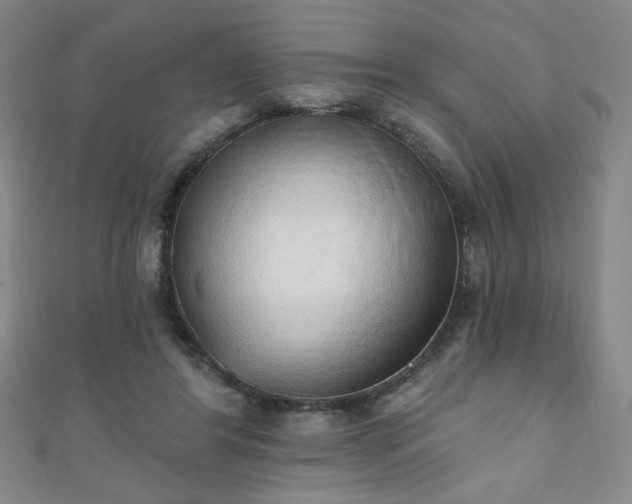 X0000111130404200906301214