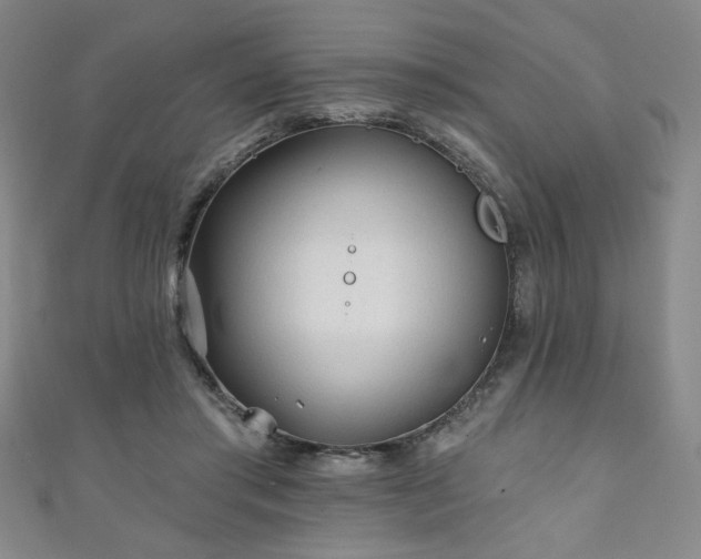 X0000111130405200906301214