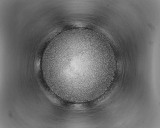 X0000111130406200906301214