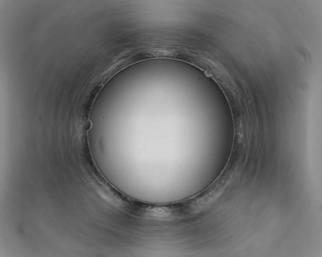 X0000111130409200906301214