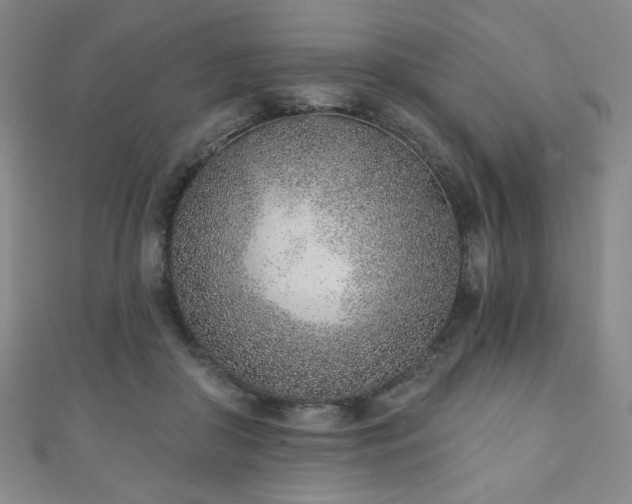 X0000111130410200906301214