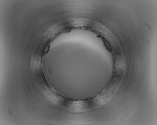 X0000111130411200906301214