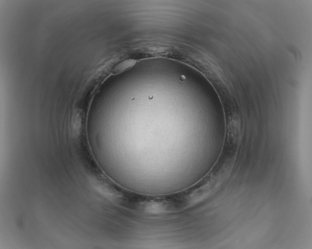 X0000111130412200906301214