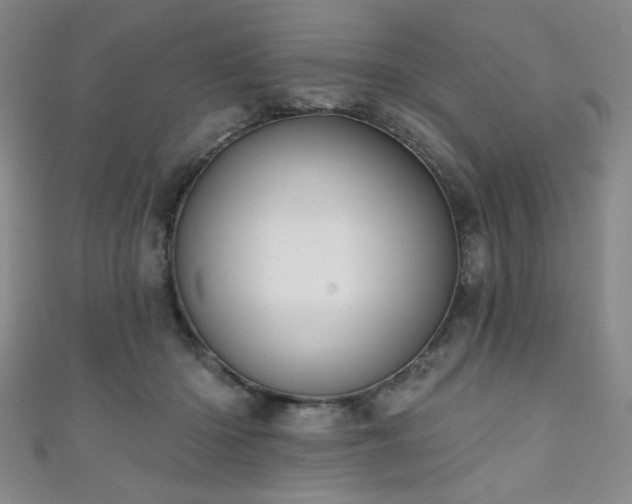 X0000111130414200906301214