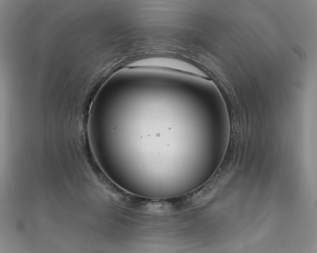 X0000111130415200906301214