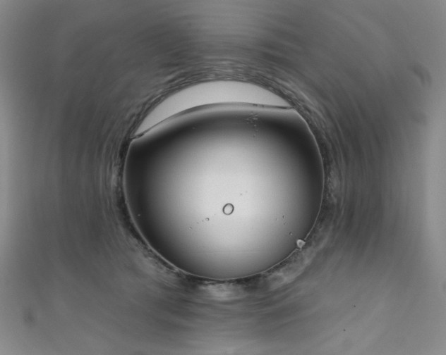 X0000111130417200906301214