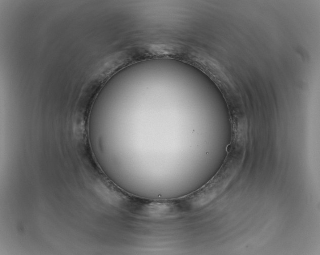 X0000111130418200906301214