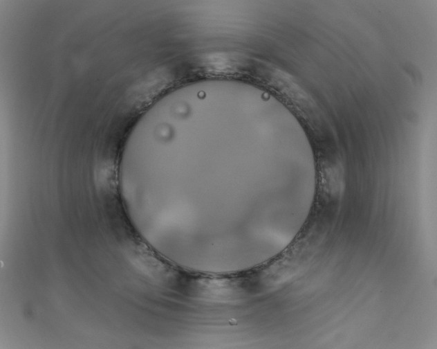 X0000111130419200906301214