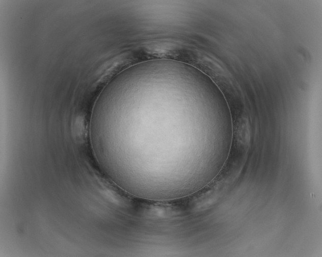 X0000111130420200906301214