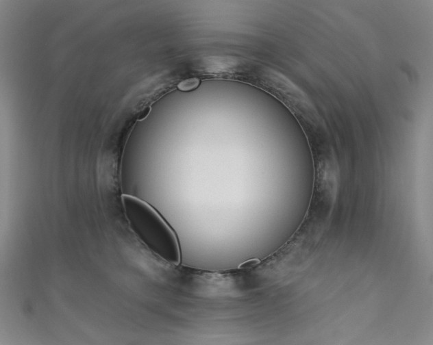 X0000111130421200906301214