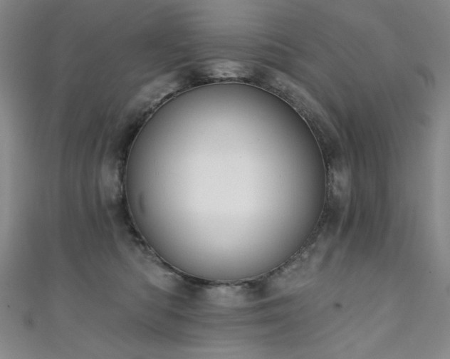 X0000111130422200906301214