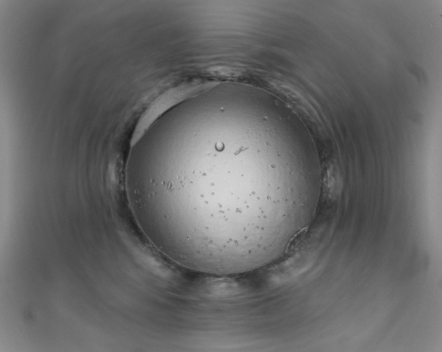 X0000111130424200906301214