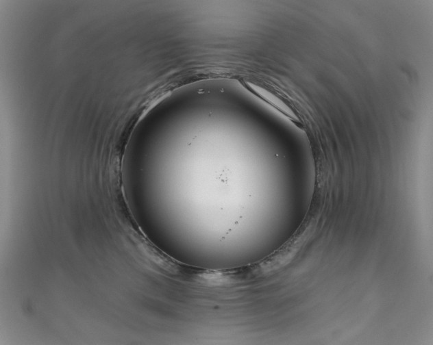 X0000111130425200906301214