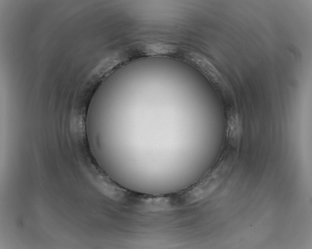 X0000111130426200906301214