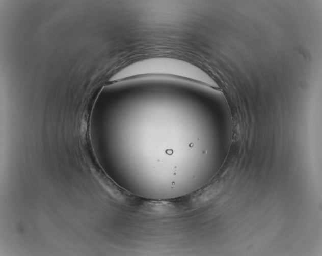 X0000111130427200906301214