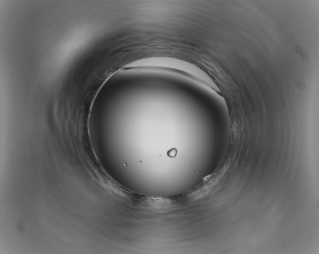 X0000111130429200906301214