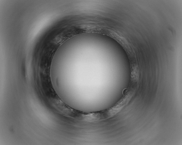 X0000111130430200906301214