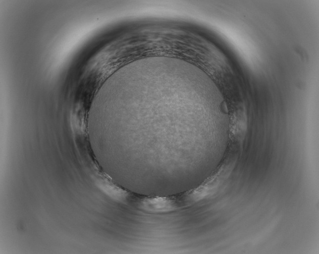 X0000111130431200906301214