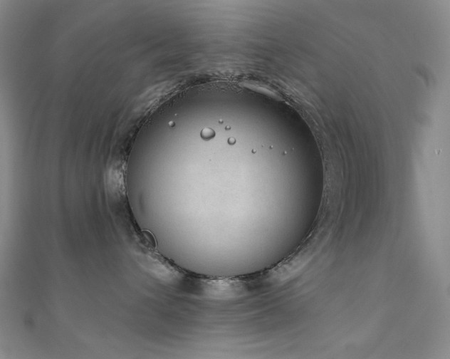 X0000111130432200906301214