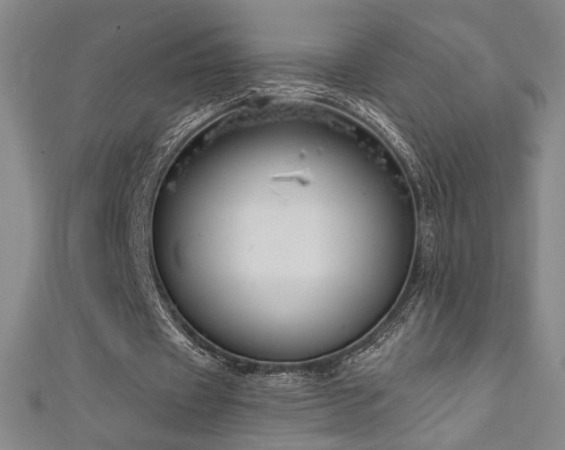 X0000111130433200906301213