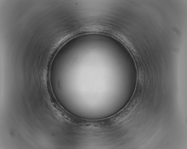 X0000111130434200906301213