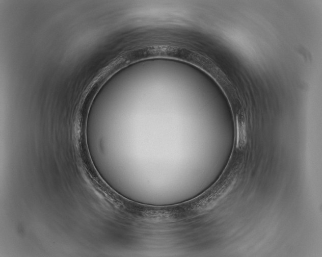 X0000111130435200906301213