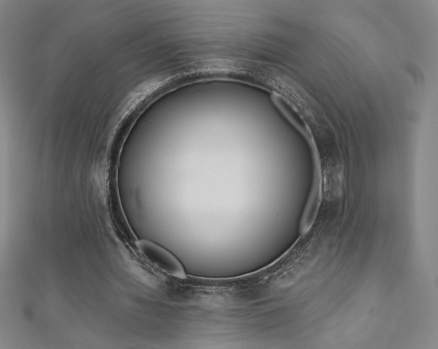 X0000111130436200906301213