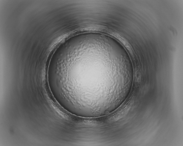 X0000111130437200906301213