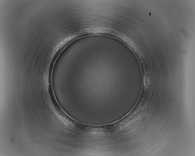 X0000111130438200906301213
