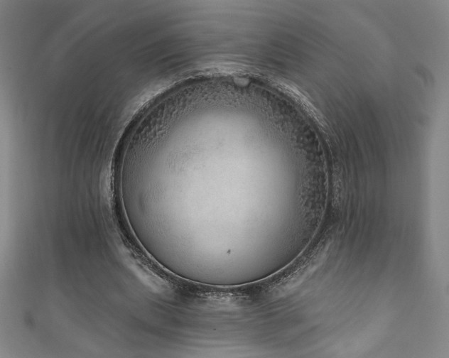 X0000111130439200906301213